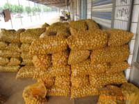 肥城潤通進(jìn)出口貿(mào)易 日用品貿(mào)易的穩(wěn)健發(fā)展之路